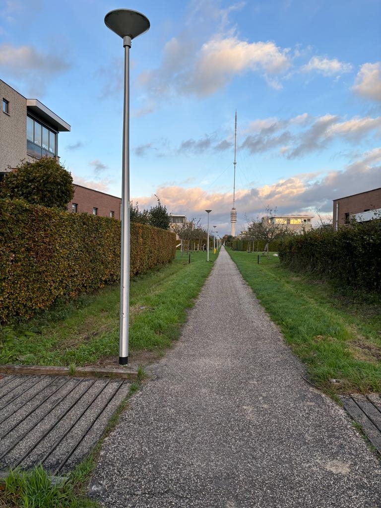 Foto van openbare verlichting Bloesempad IJsselstein